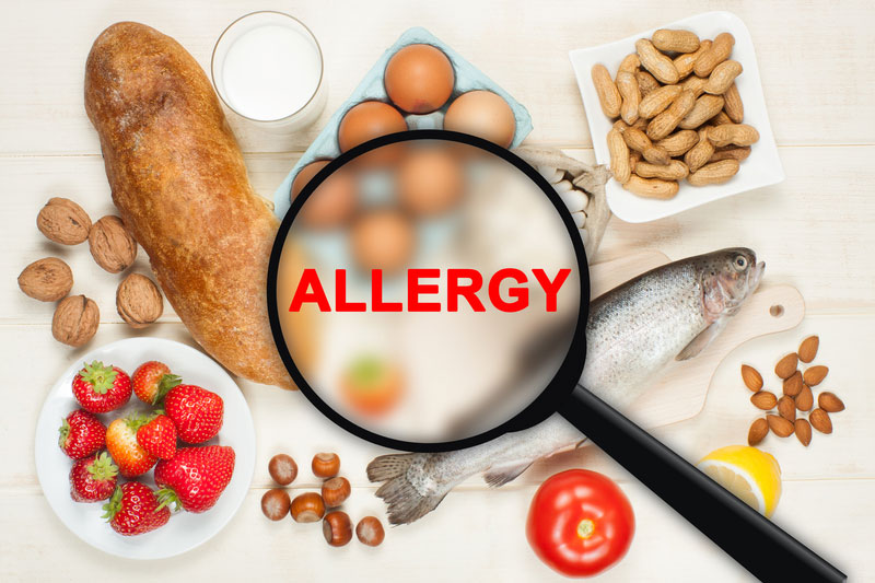 St. Petersburg, FL 33704 food allergies and sensitivity treatment